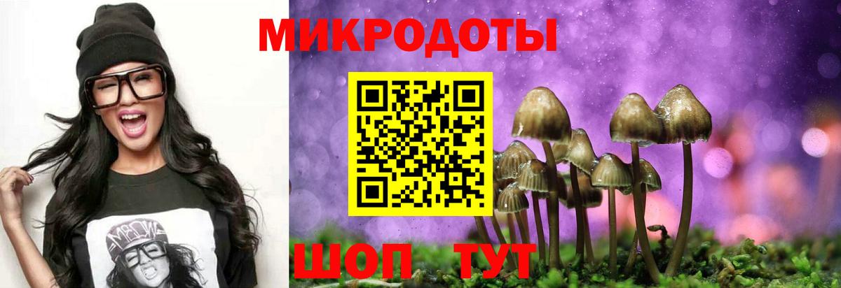 Каменск-Шахтинский  где купить   Вход с VPN  Галлюциногенные грибы Psilocybe 