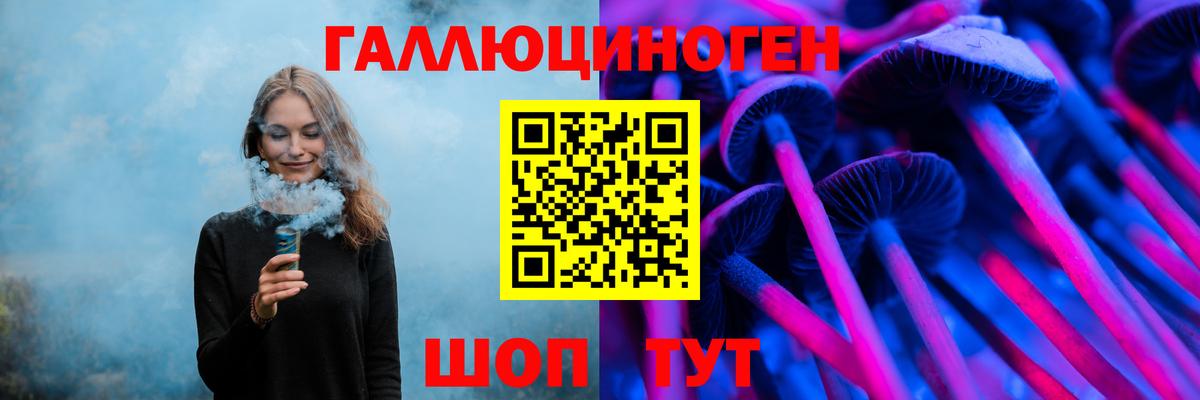 Галлюциногенные грибы Psilocybine cubensis Каменск-Шахтинский